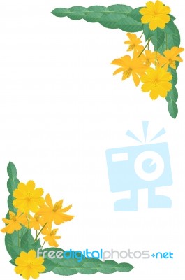 Beautiful Yellow Flower Stock Image