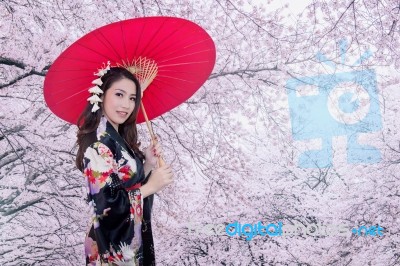 Beautiful Young Asian Woman Wearing Traditional Japanese Kimono With Red Umbrella And Cherry Blossom Stock Photo