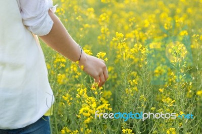 Beautiful Young Woman Enjoying Summer In A Field Stock Photo