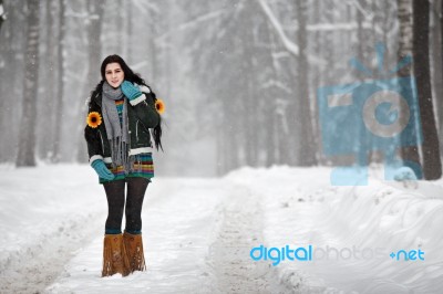 Beautiful Young Woman In A Sweater On A Winter Walk In A Park Stock Photo