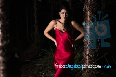 Beautiful Young Woman In The Gardens Wearing A Long Silk Red Dress Stock Photo