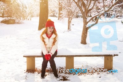 Beautiful Young Woman In The Winter Stock Photo