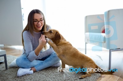 Beautiful Young Woman With Dog Playing At Home Stock Photo