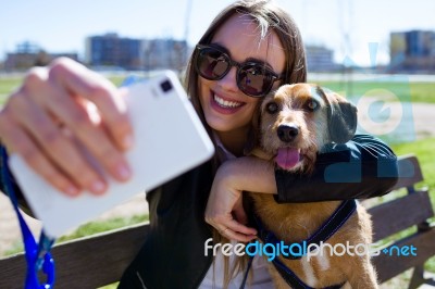 Beautiful Young Woman With Her Dog Using Mobile Phone Stock Photo