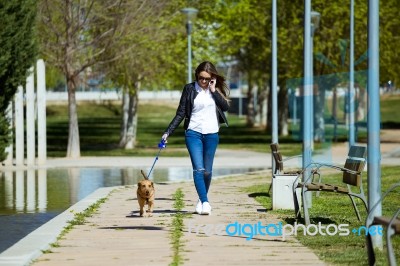 Beautiful Young Woman With Her Dog Using Mobile Phone Stock Photo