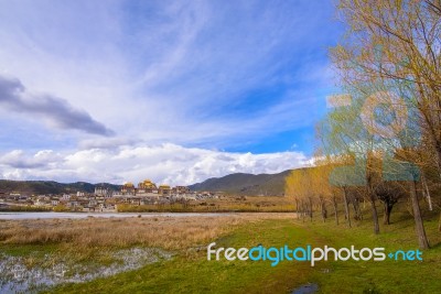 Beautifull Golden Forests And Lake Front Of Songzanlin - Tibetan… Stock Photo