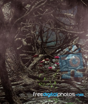 Beauty Always Dangerous,cosmos Flower In Derelict Forest Stock Image