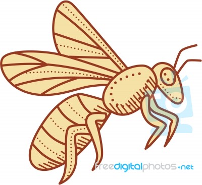 Bee Flying Mono Line Stock Image