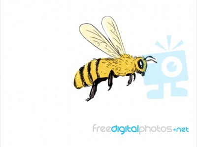 Bee Flying To Side Color Drawing Stock Image