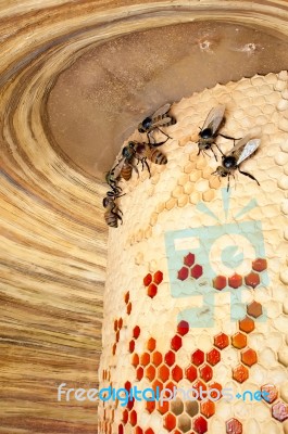 Bee Hive Stock Photo