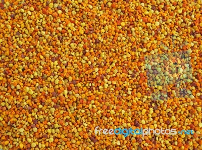 Bee Pollen Stock Photo