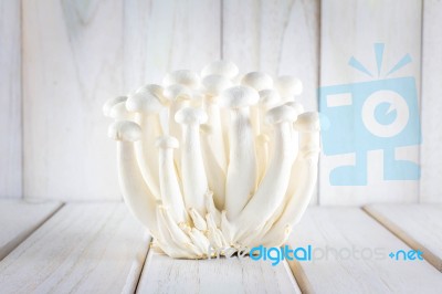 Beech Mushroom On White Wooden Background Stock Photo