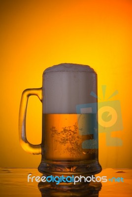 Beer Stock Photo