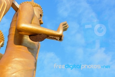 Bees Nest Or Honeycomb On The Hand Of Buddha Stock Photo