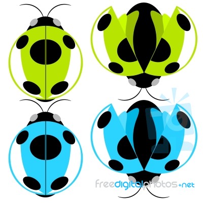 Beetle Illustration Stock Image