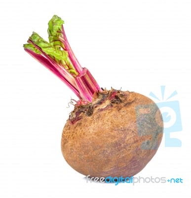 Beetroot Isolated On The White Background Stock Photo