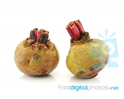 Beetroots  Stock Photo