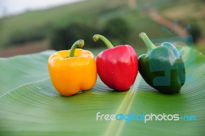 Bell Pepper On Banana Leaf Stock Photo