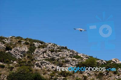 Benalmadena, Andalucia/spain - July 7 : Juvenile Andean Condor (… Stock Photo