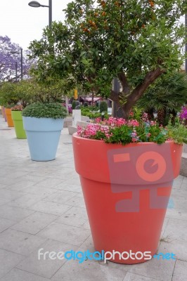 Benalmadena, Andalucia/spain - May 9 : Massive Flower Pots In Be… Stock Photo