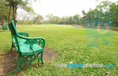 Bench Under The Tree In The Gardens Stock Photo