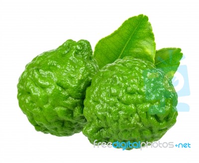 Bergamot Fruit Isolated On The White Background Stock Photo