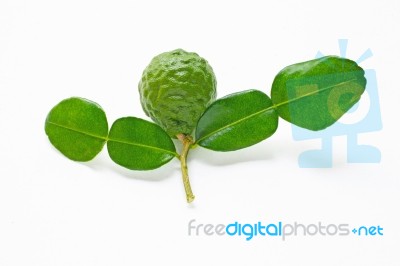 Bergamot Kaffir Lime Herb Fresh Ingredient Isolated On White Stock Photo