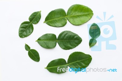 Bergamot Kaffir Lime Leaves Herb Fresh Ingredient Isolated On Wh… Stock Photo