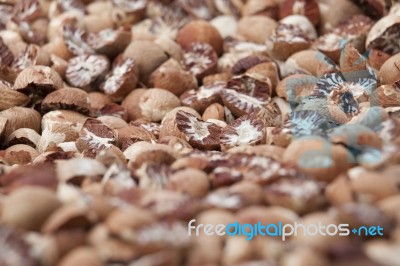 Betel Nut Or Areca But Background, Selective Focus Stock Image