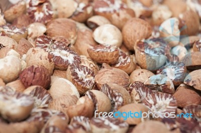 Betel Nut Or Areca But Background, Selective Focus Stock Image