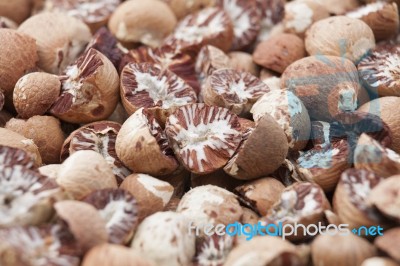 Betel Nut Or Areca But Background, Selective Focus Stock Image