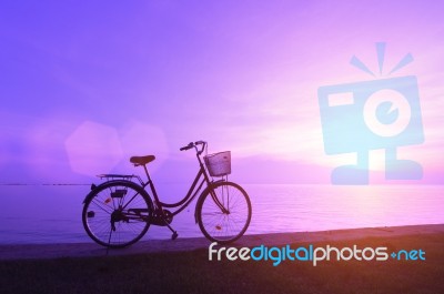 Bicycle Stock Photo