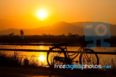 Bicycle Stock Photo