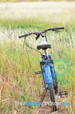 Bicycle In Tropical Field Stock Photo