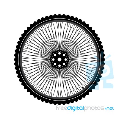 Bicycle Wheel Stock Image