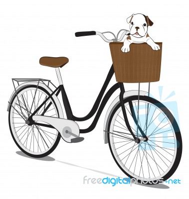 Bicycles And French Bulldog Puppy Stock Image