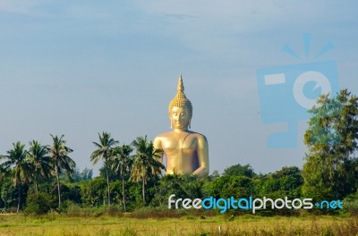 Big Buddha Statue In The World Stock Photo