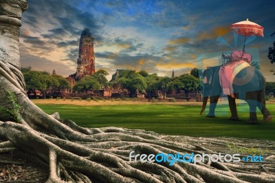 Big Root Of Banyan Tree And Kingdom Elephant Dressing Against Land Scape Of Ancient And Old  Pagoda In History Temple Of Ayuthaya World Heritage Sites Of Unesco Central Of Thailand Important Destination Of Tourist Stock Photo