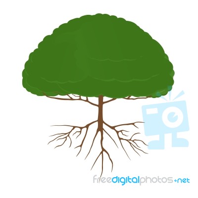 Big Tree Stock Image