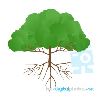 Big Tree Stock Image