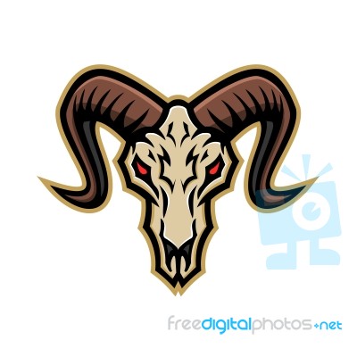 Bighorn Sheep Skull Mascot Stock Image