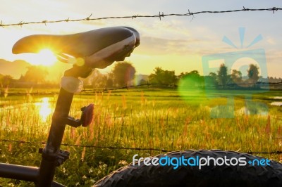 Bike Saddle With Sunray Stock Photo