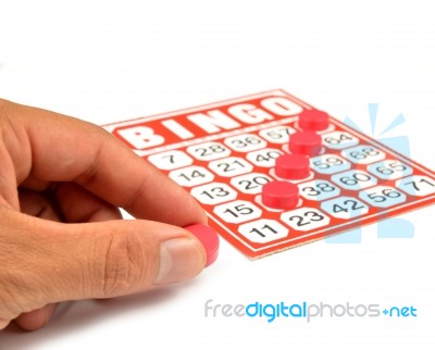 Bingo Card  Stock Photo