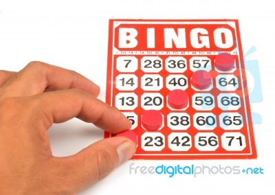 Bingo Card  Stock Photo