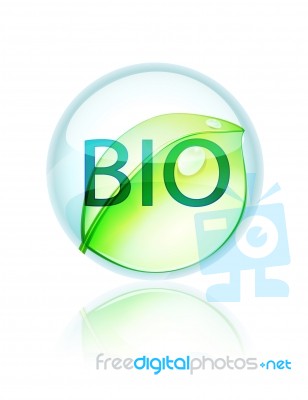 Bio Text On Globe Stock Image