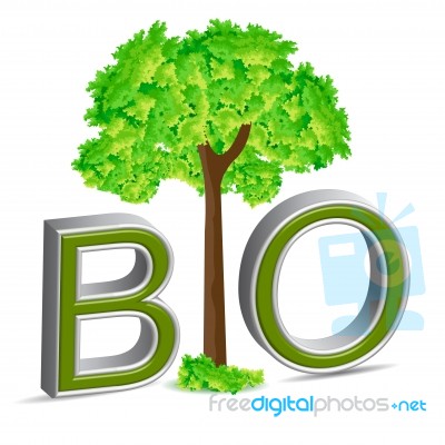 Bio Tree Stock Image