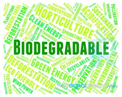 Biodegradable Word Represents Biodegradation Words And Decompose… Stock Image