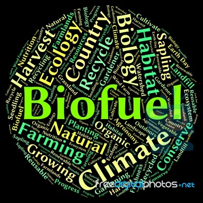 Biofuel Word Shows Renewable Energy And Biogas Stock Image