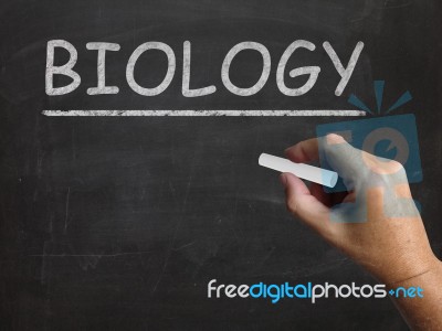 Biology Blackboard Shows Science Of Living Things Stock Image