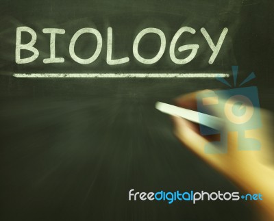 Biology Chalk Shows Science Of Living Things Stock Image